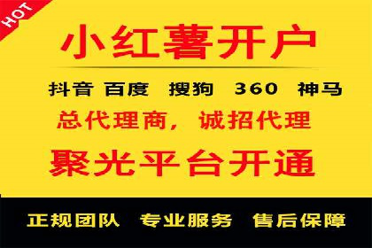 SEM托管服务案例：优化策略与效果展示